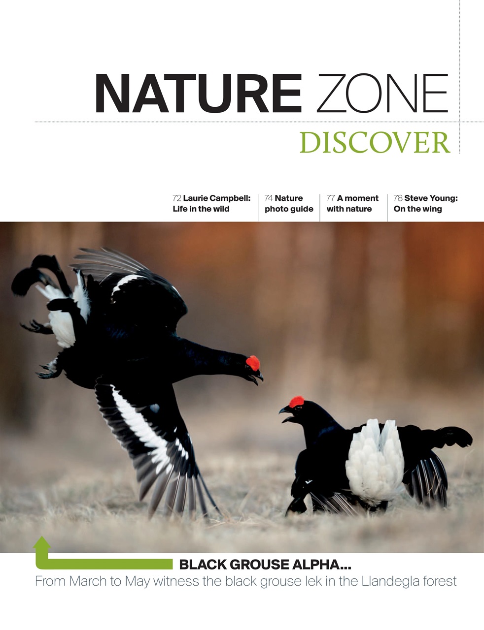 Outdoor Photography Preview Pages