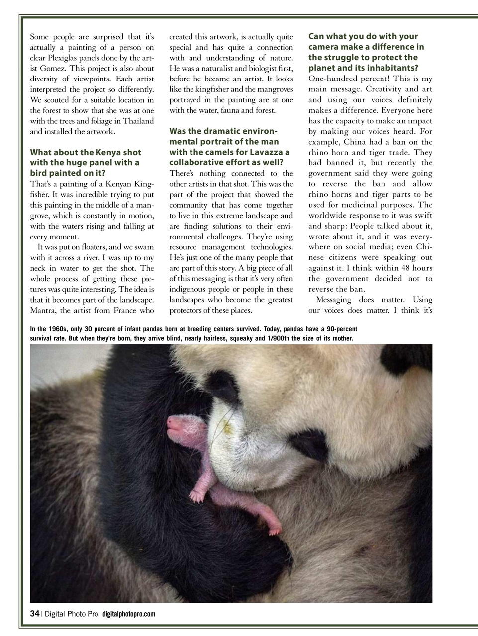 Digital Photo Pro Preview Pages