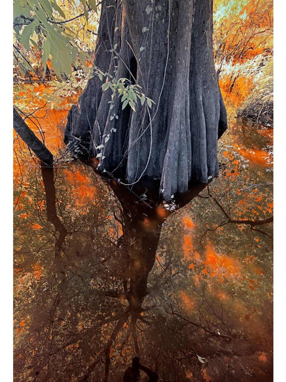 Outdoor Photographer Preview Pages
