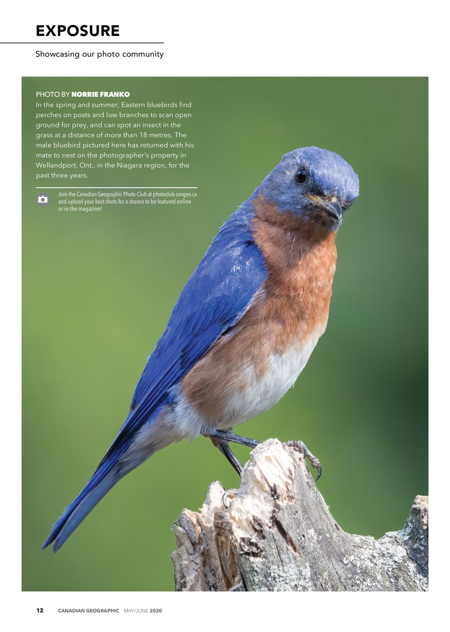 Canadian Geographic Preview Pages