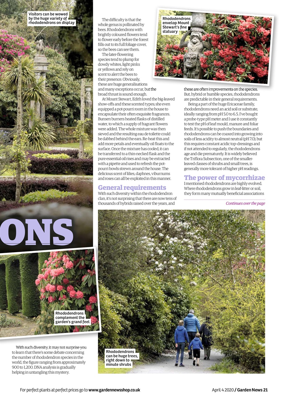 Garden News Preview Pages