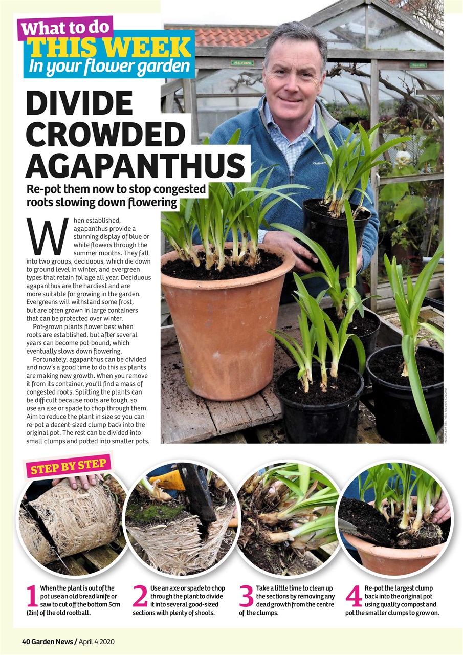 Garden News Preview Pages