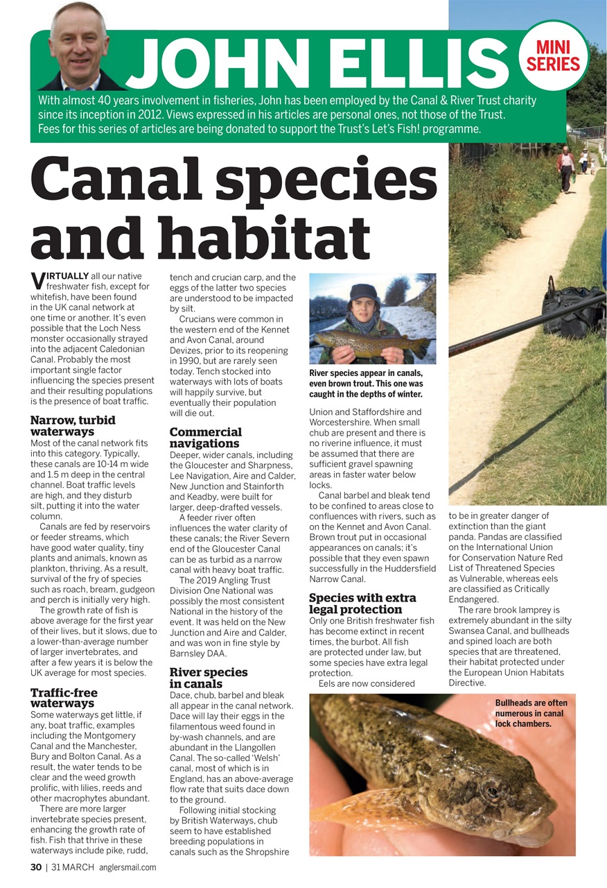 Anglers Mail Preview Pages