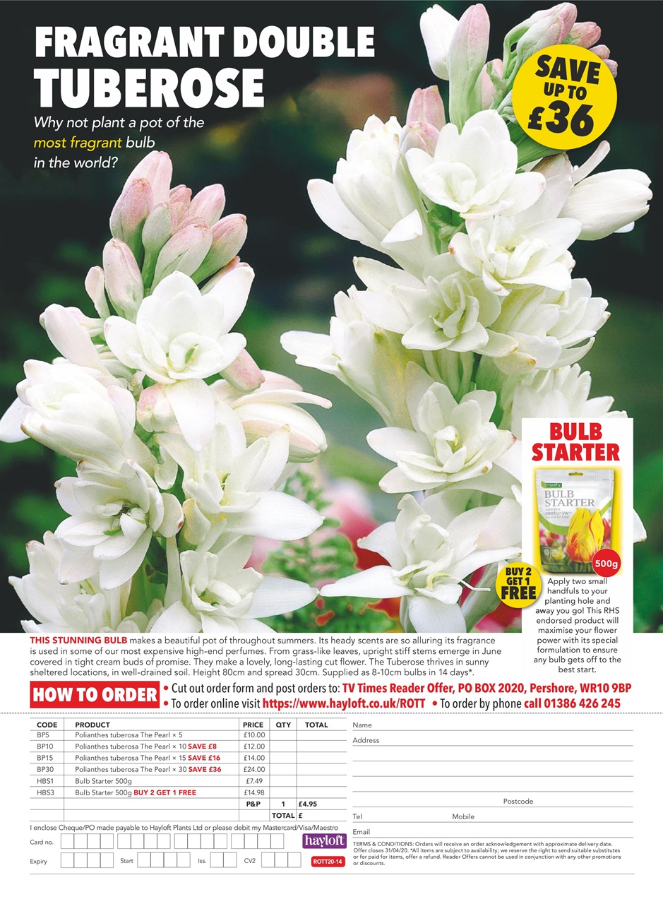 TV Times Preview Pages