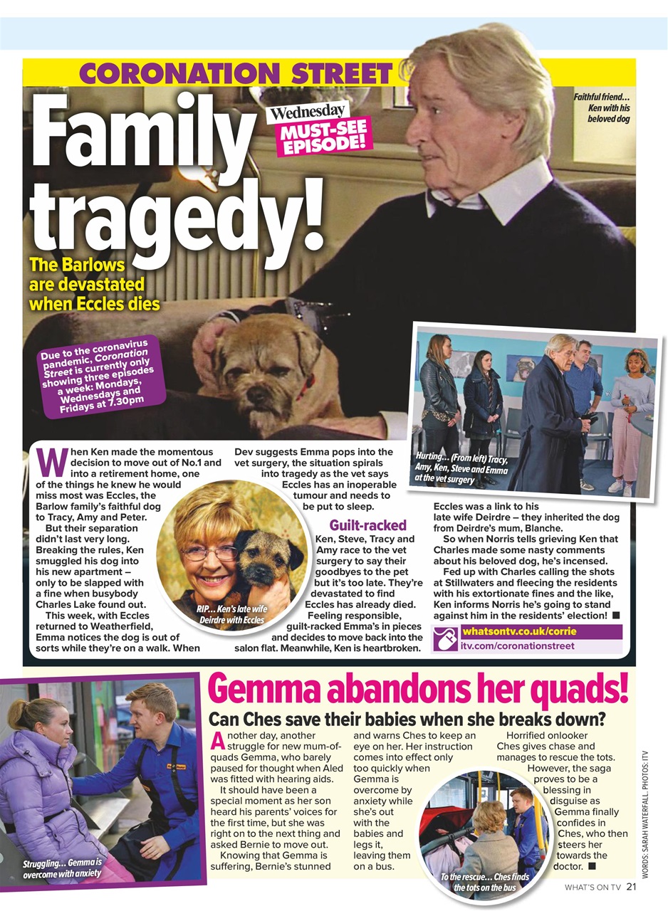 What's on TV Preview Pages