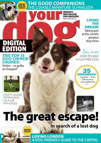 Your Dog issue Your Dog Magazine May 2020
