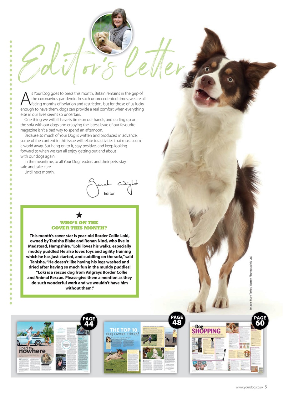 Your Dog Preview Pages