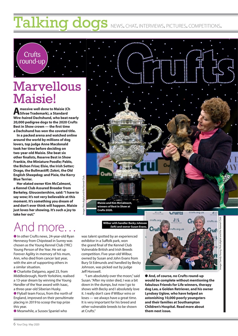 Your Dog Preview Pages