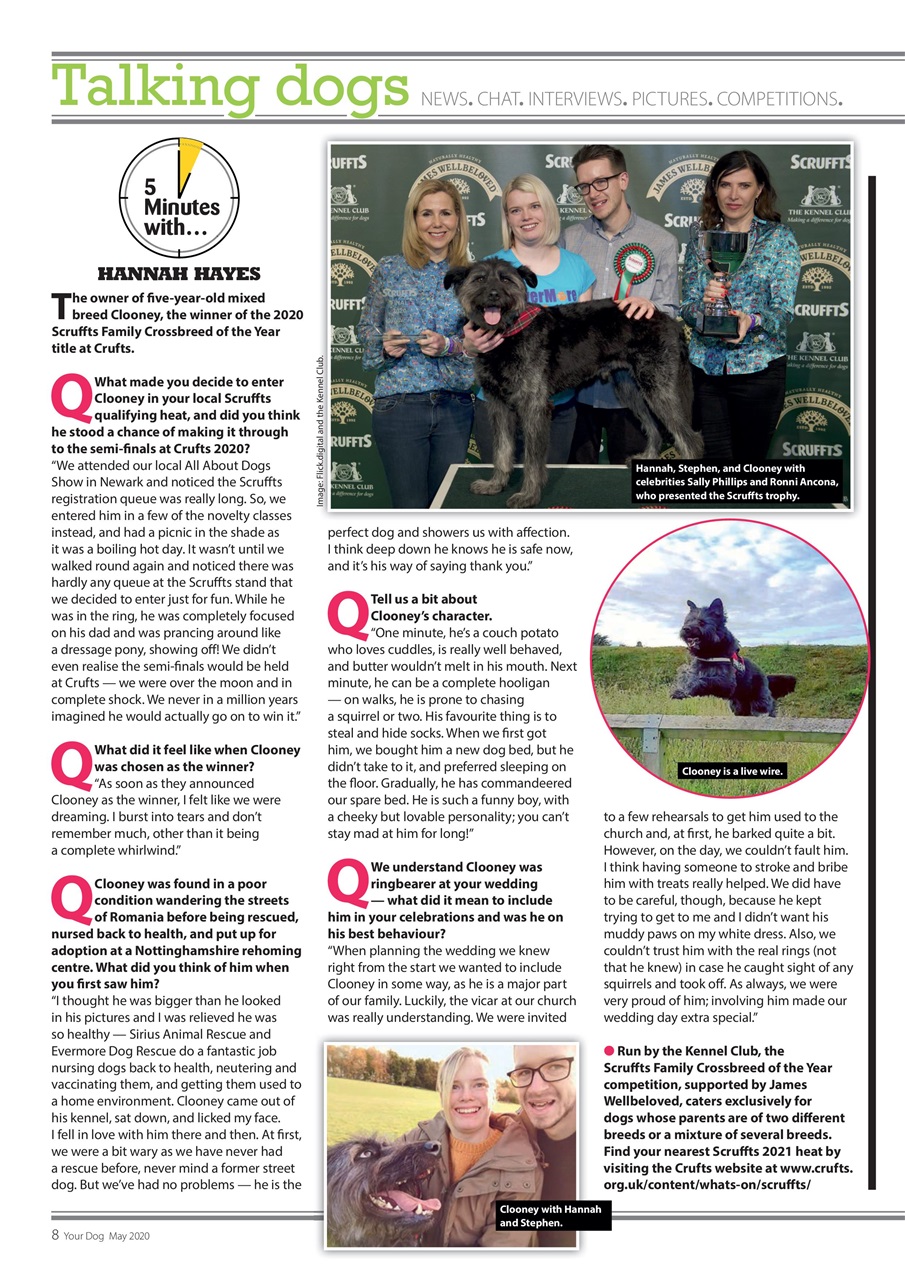 Your Dog Preview Pages