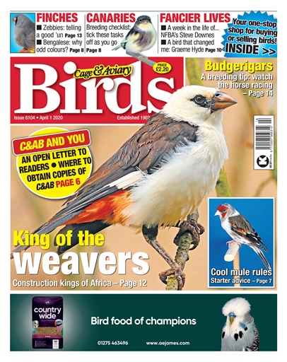 Cage & Aviary Birds issue 