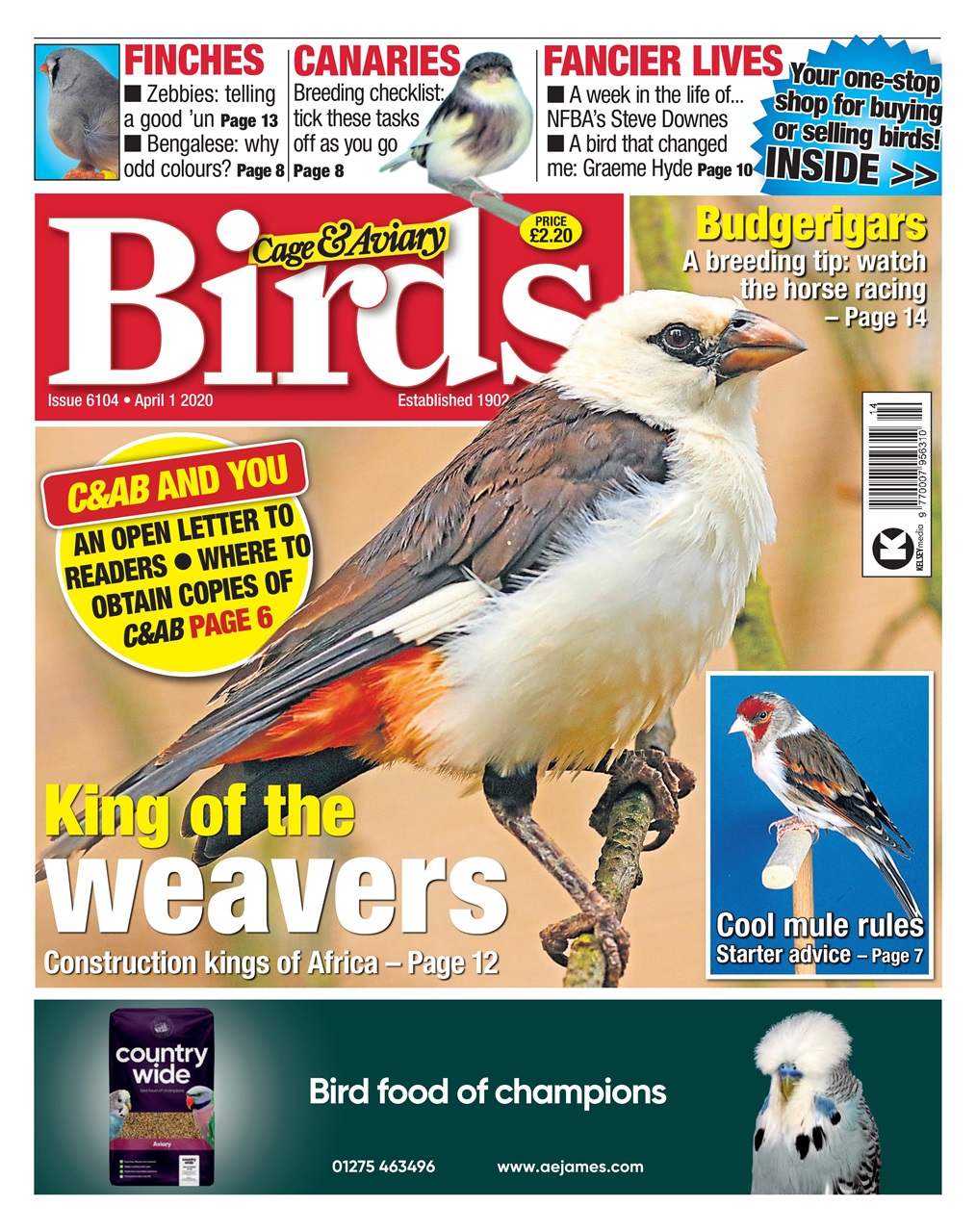 Cage & Aviary Birds Preview Pages