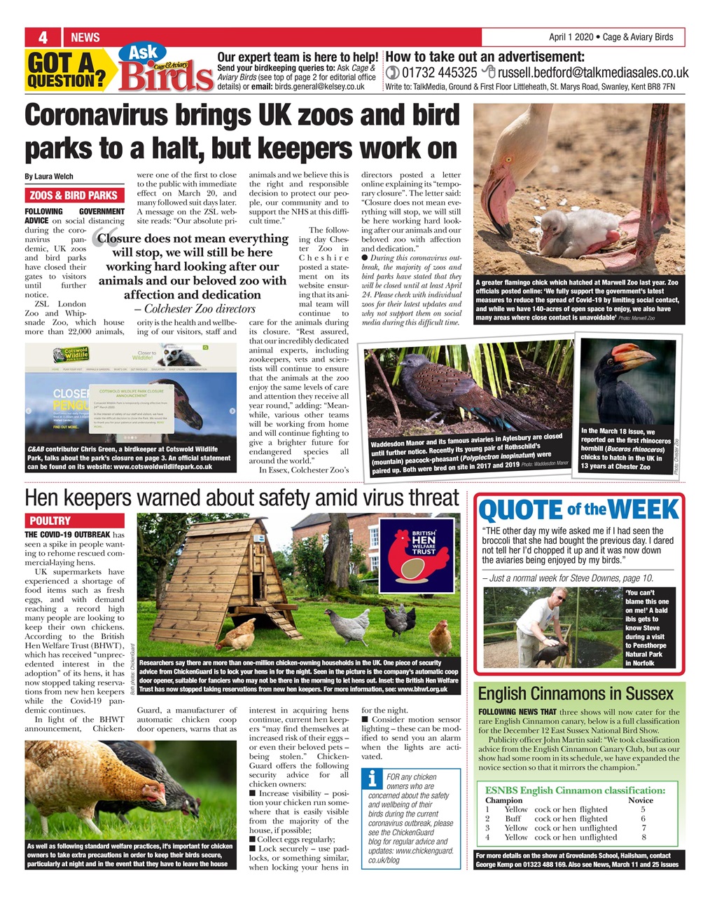 Cage & Aviary Birds Preview Pages