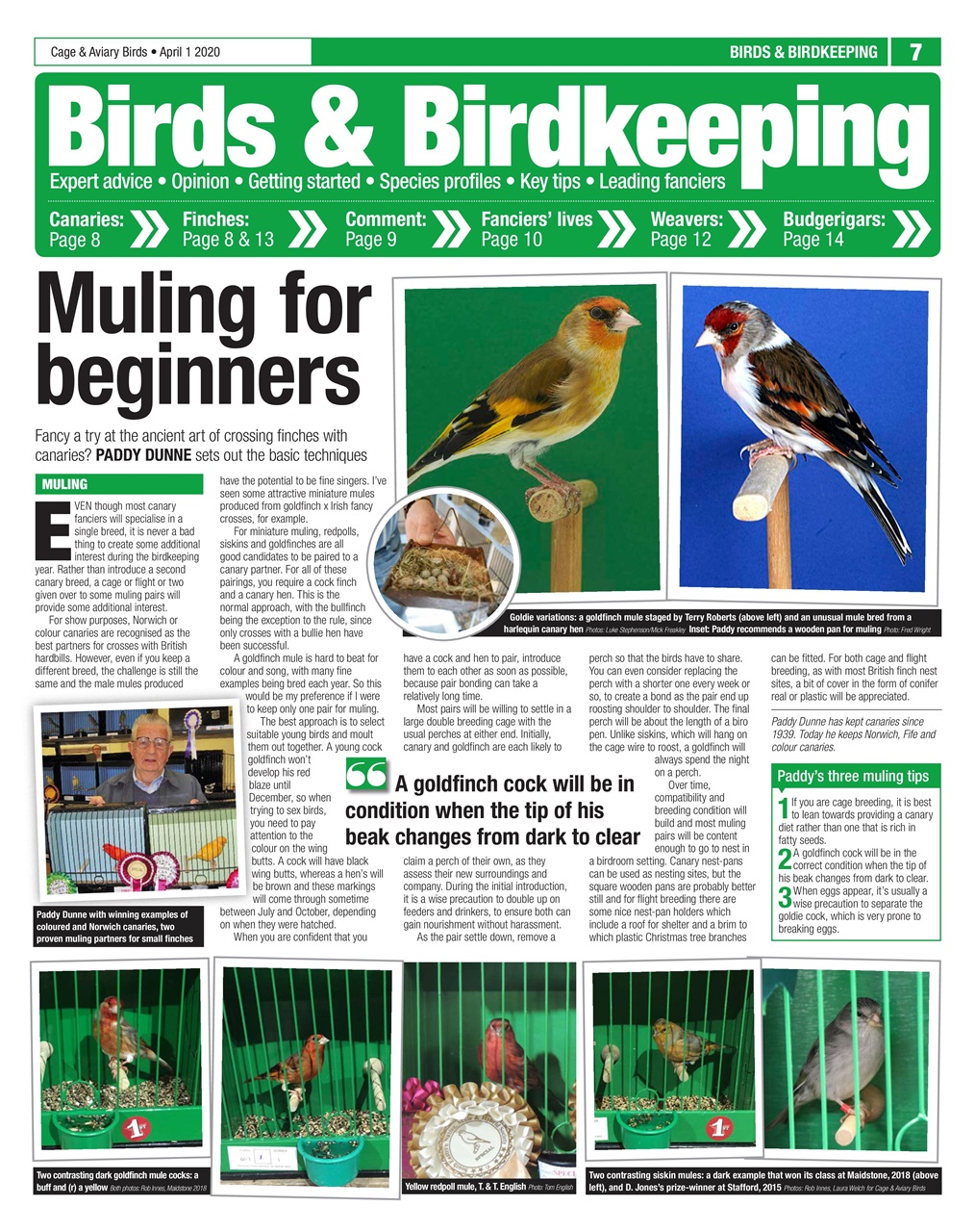 Cage & Aviary Birds Preview Pages