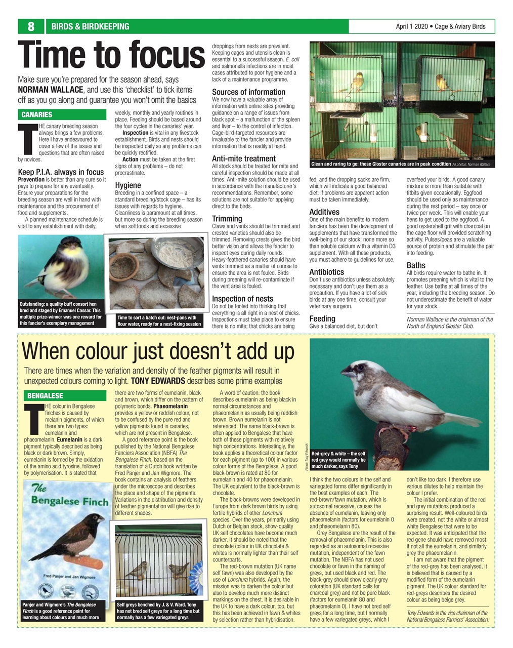 Cage & Aviary Birds Preview Pages