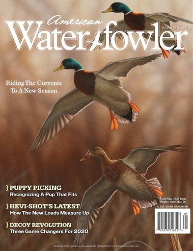 American Waterfowler issue 