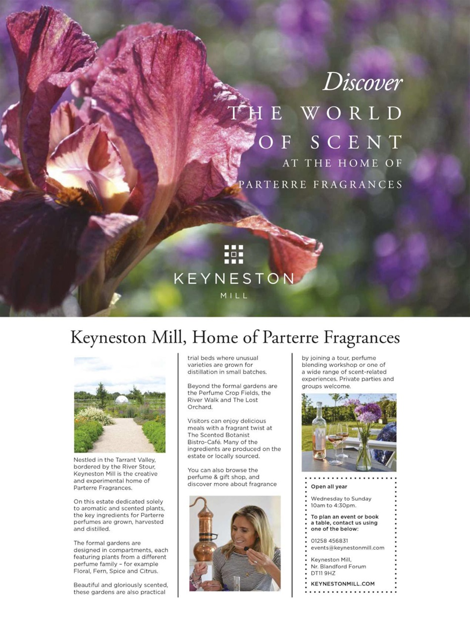 Your Home Magazine Preview Pages