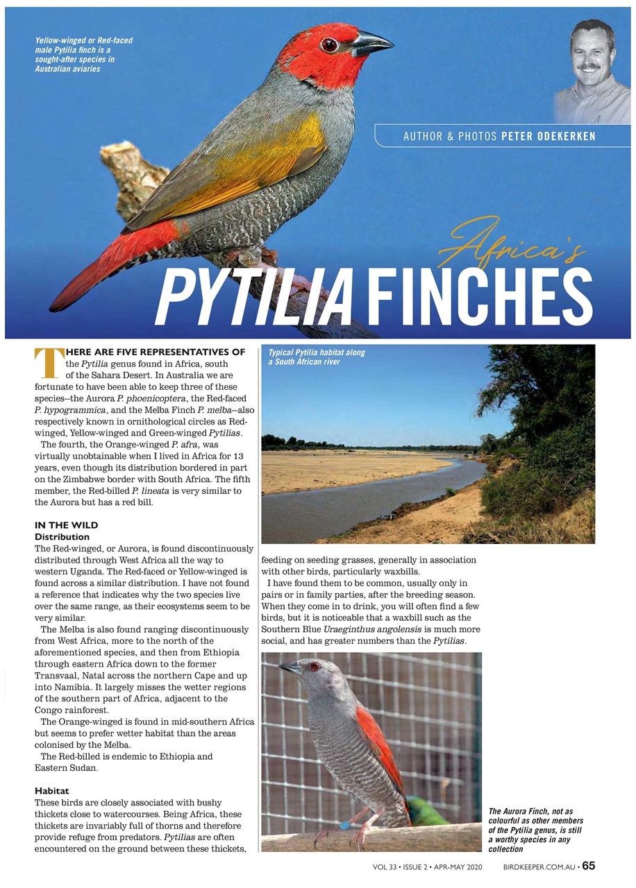 Australian Birdkeeper Magazine Preview Pages