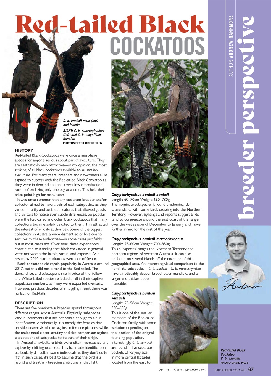 Australian Birdkeeper Magazine Preview Pages