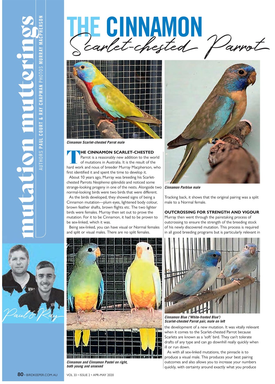 Australian Birdkeeper Magazine Preview Pages
