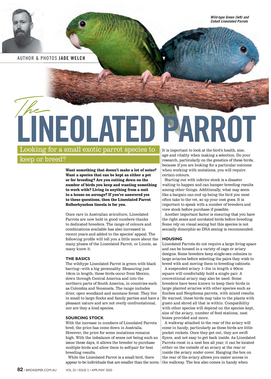 Australian Birdkeeper Magazine Preview Pages