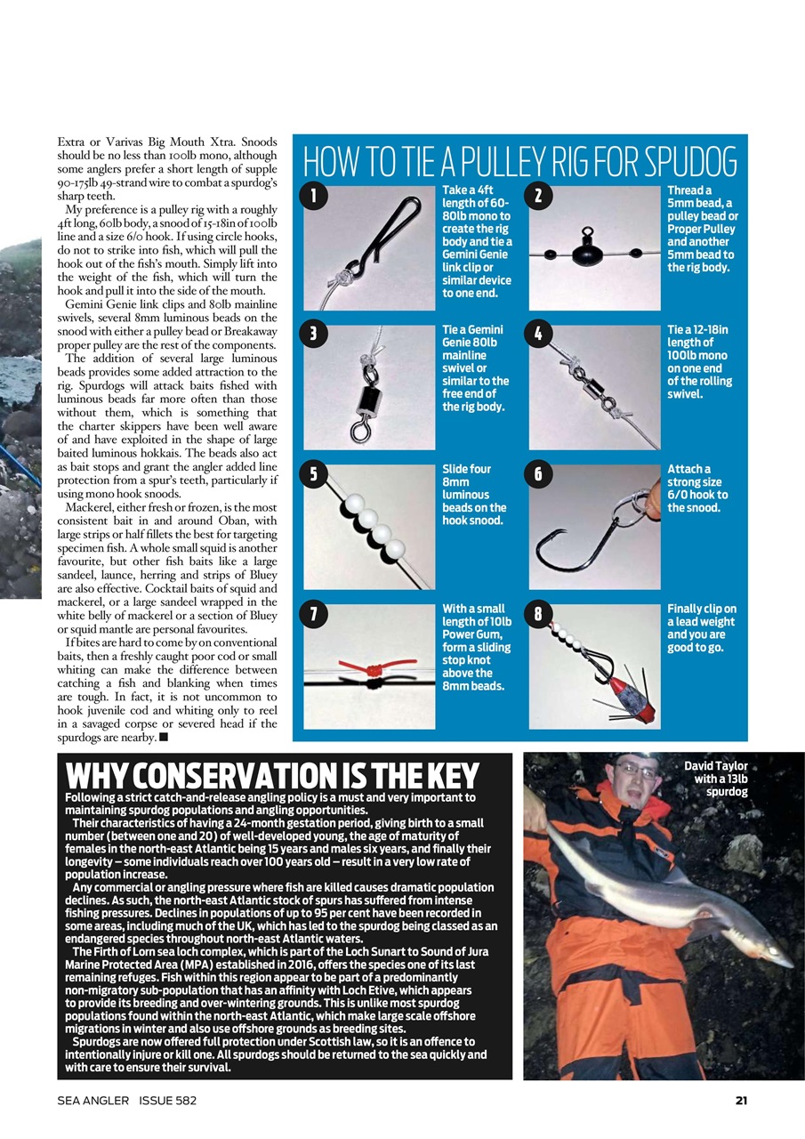 Sea Angler Preview Pages