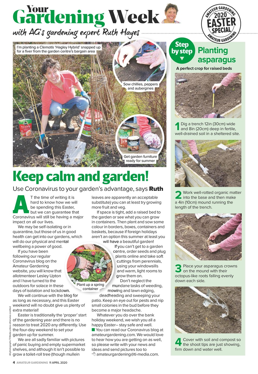 Amateur Gardening Preview Pages