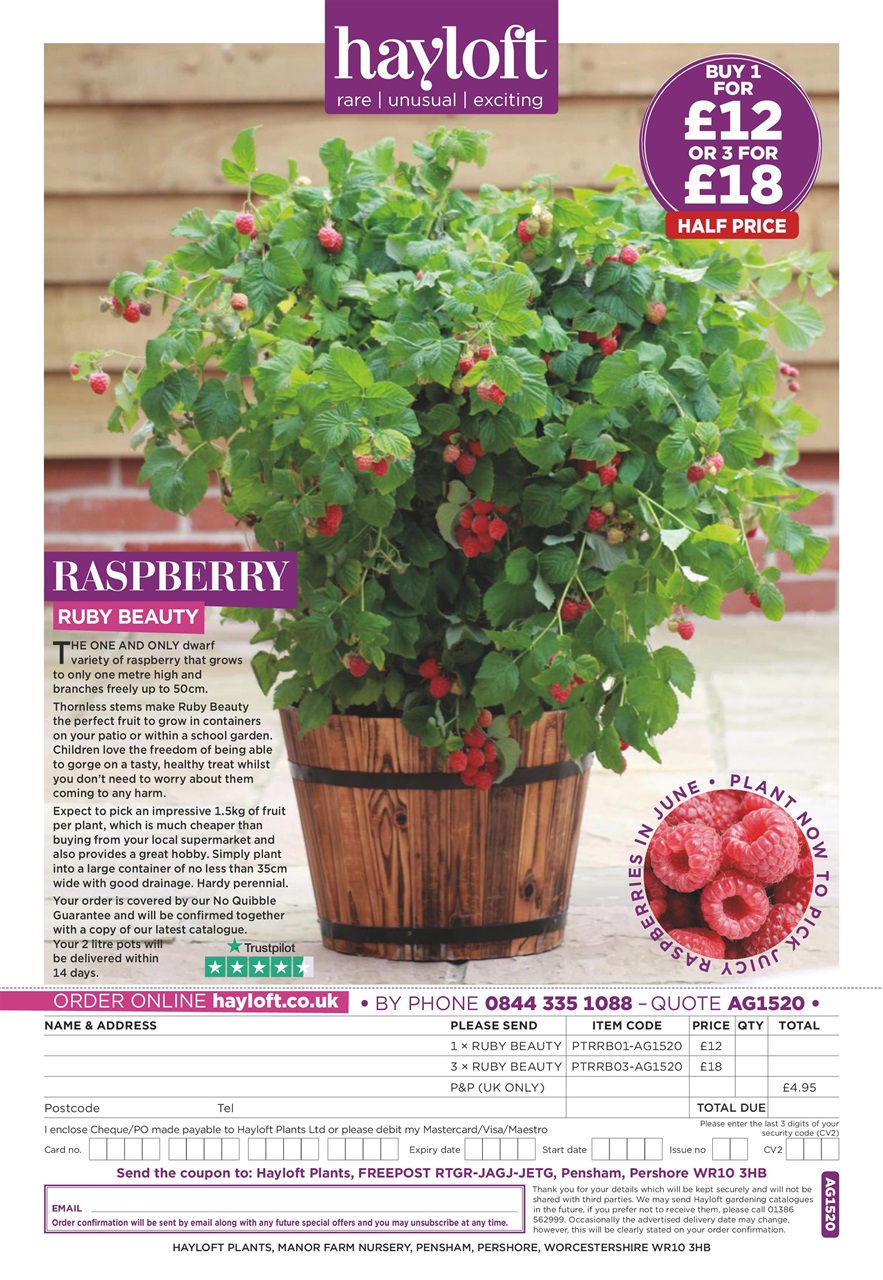 Amateur Gardening Preview Pages
