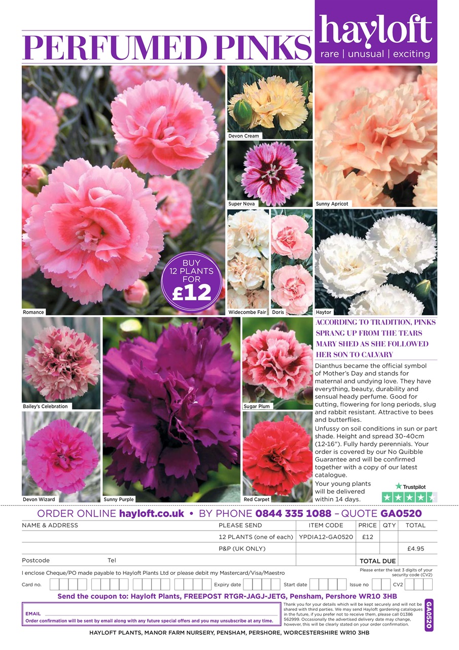 Garden Answers Preview Pages