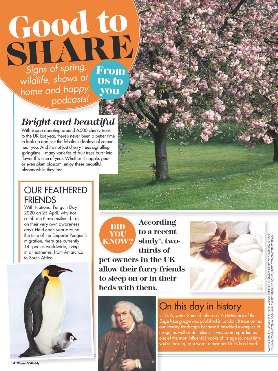 Woman's Weekly Preview Pages