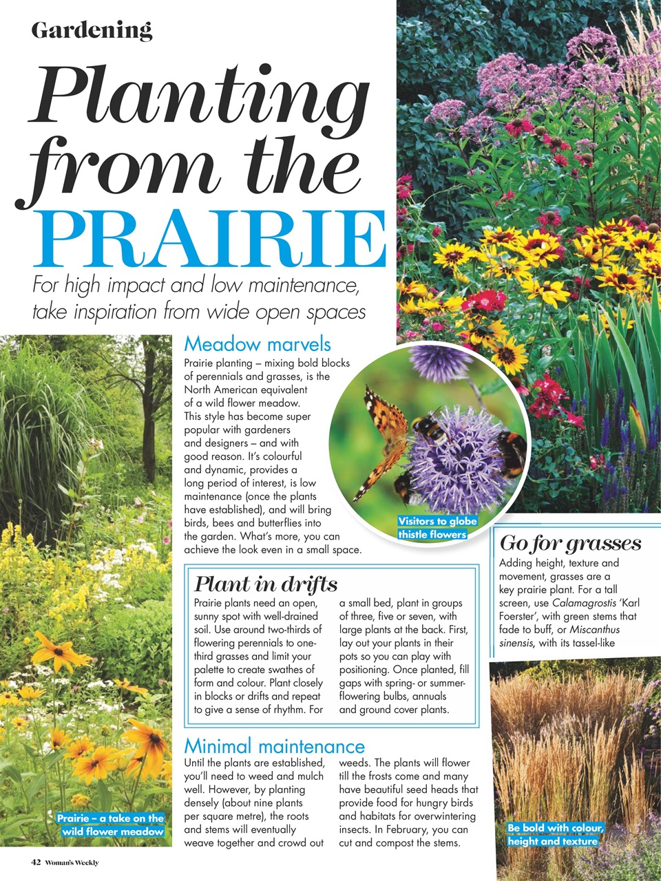 Woman's Weekly Preview Pages