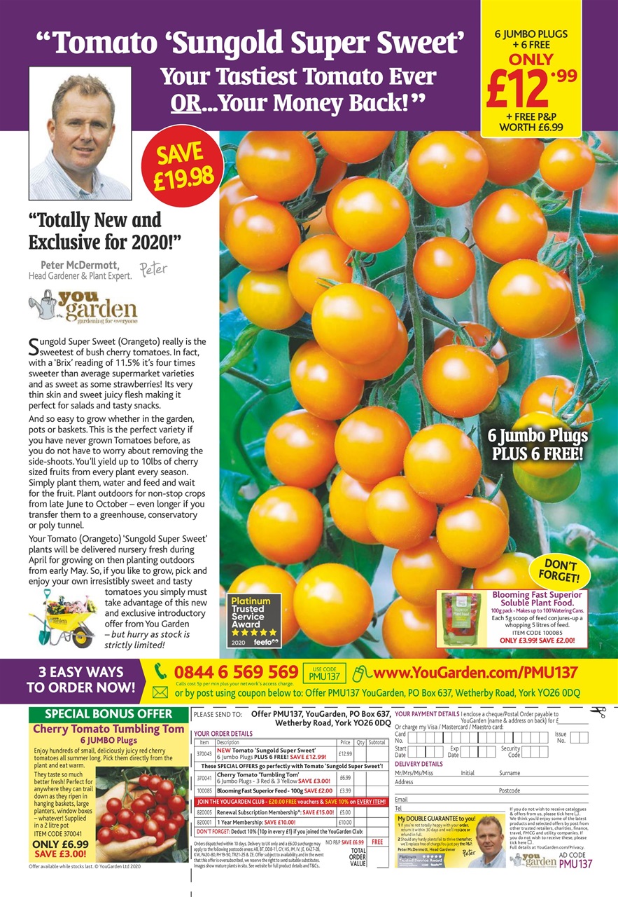 Pick Me Up Preview Pages