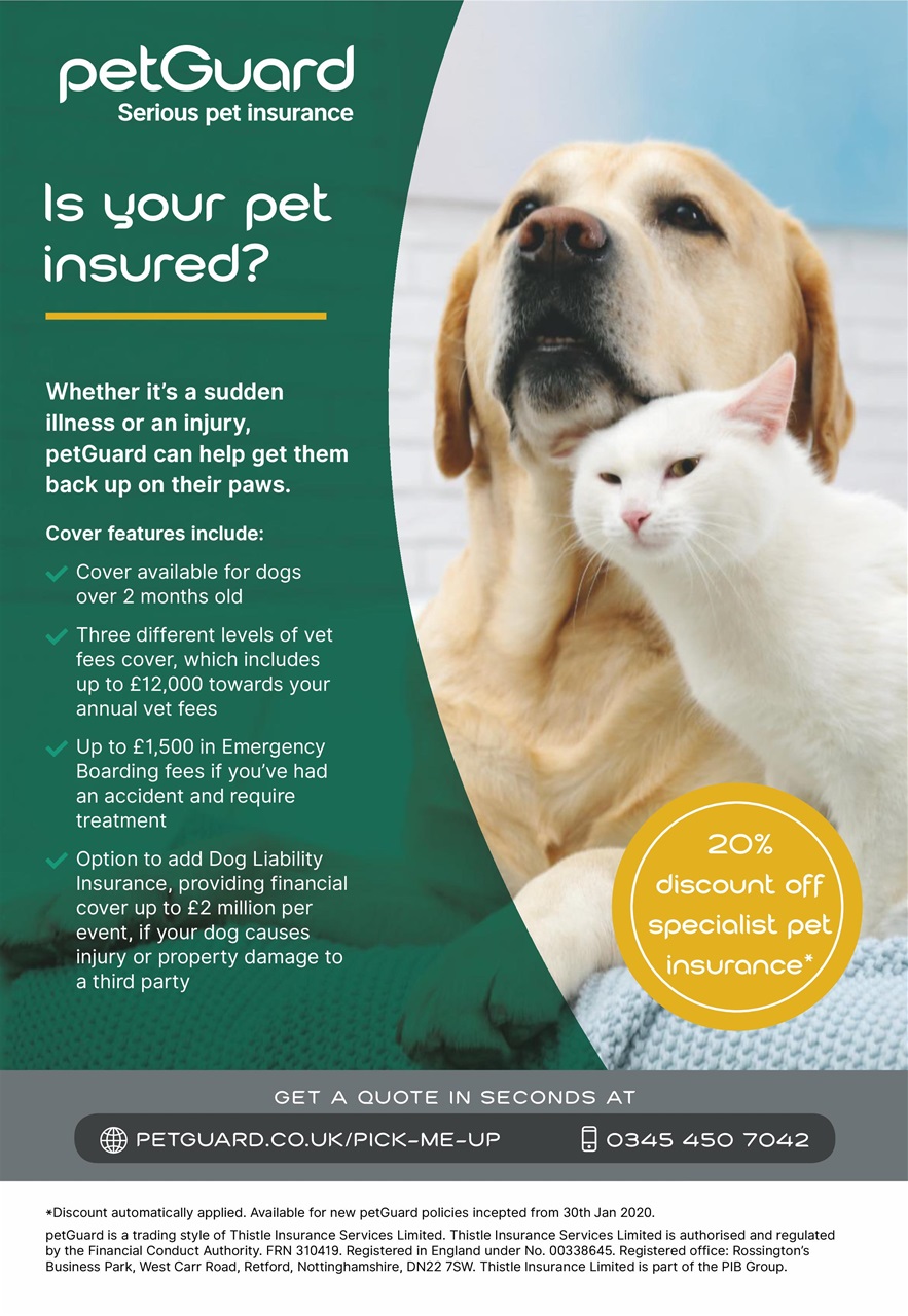 Pick Me Up Preview Pages