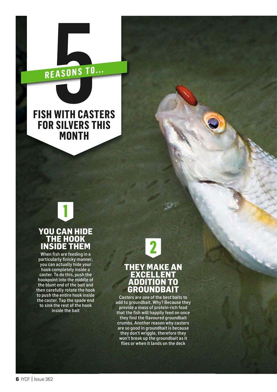 Improve Your Coarse Fishing Preview Pages