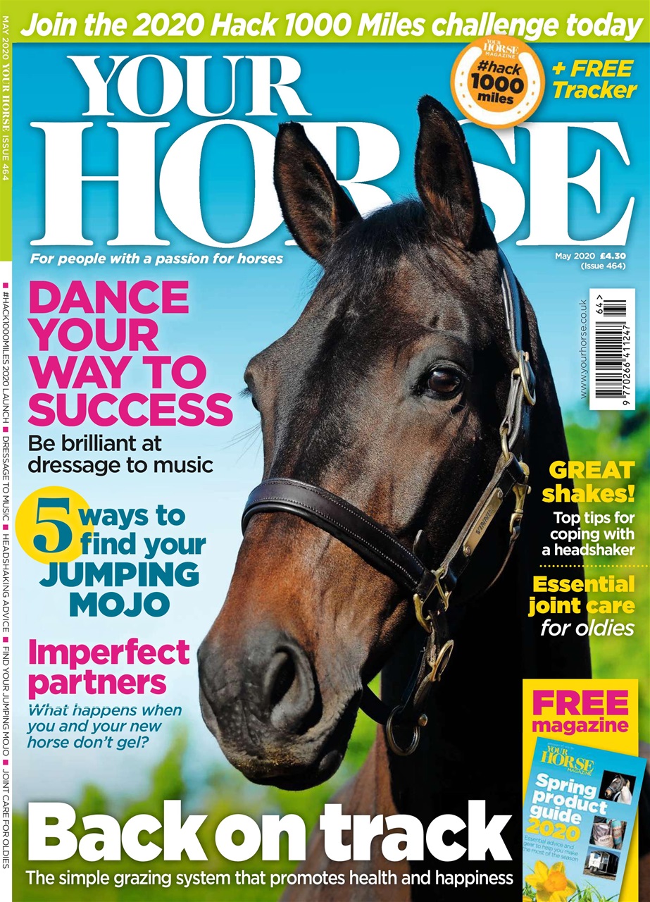 Your Horse Preview Pages