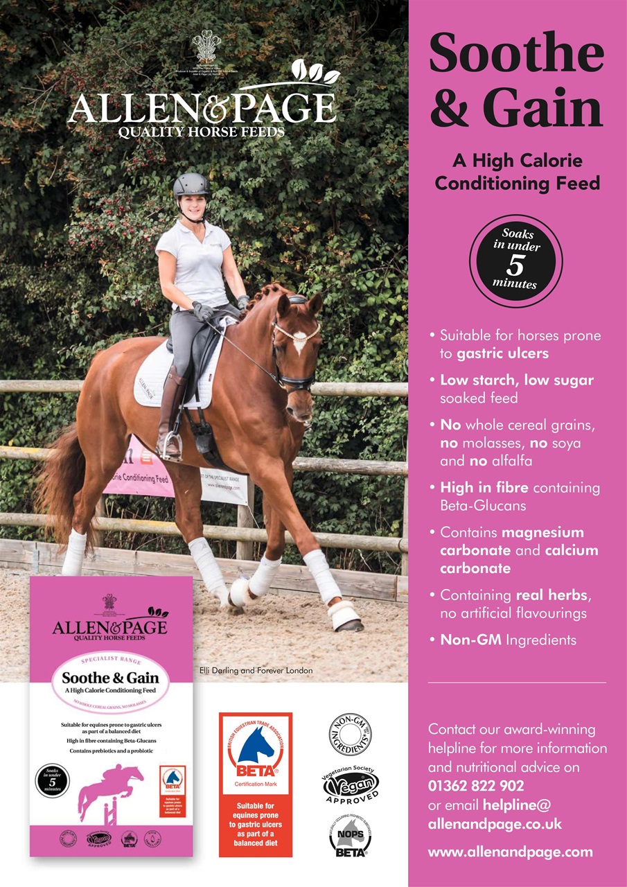 Your Horse Preview Pages