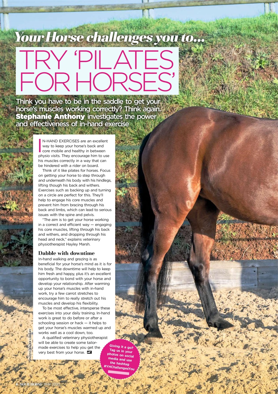 Your Horse Preview Pages