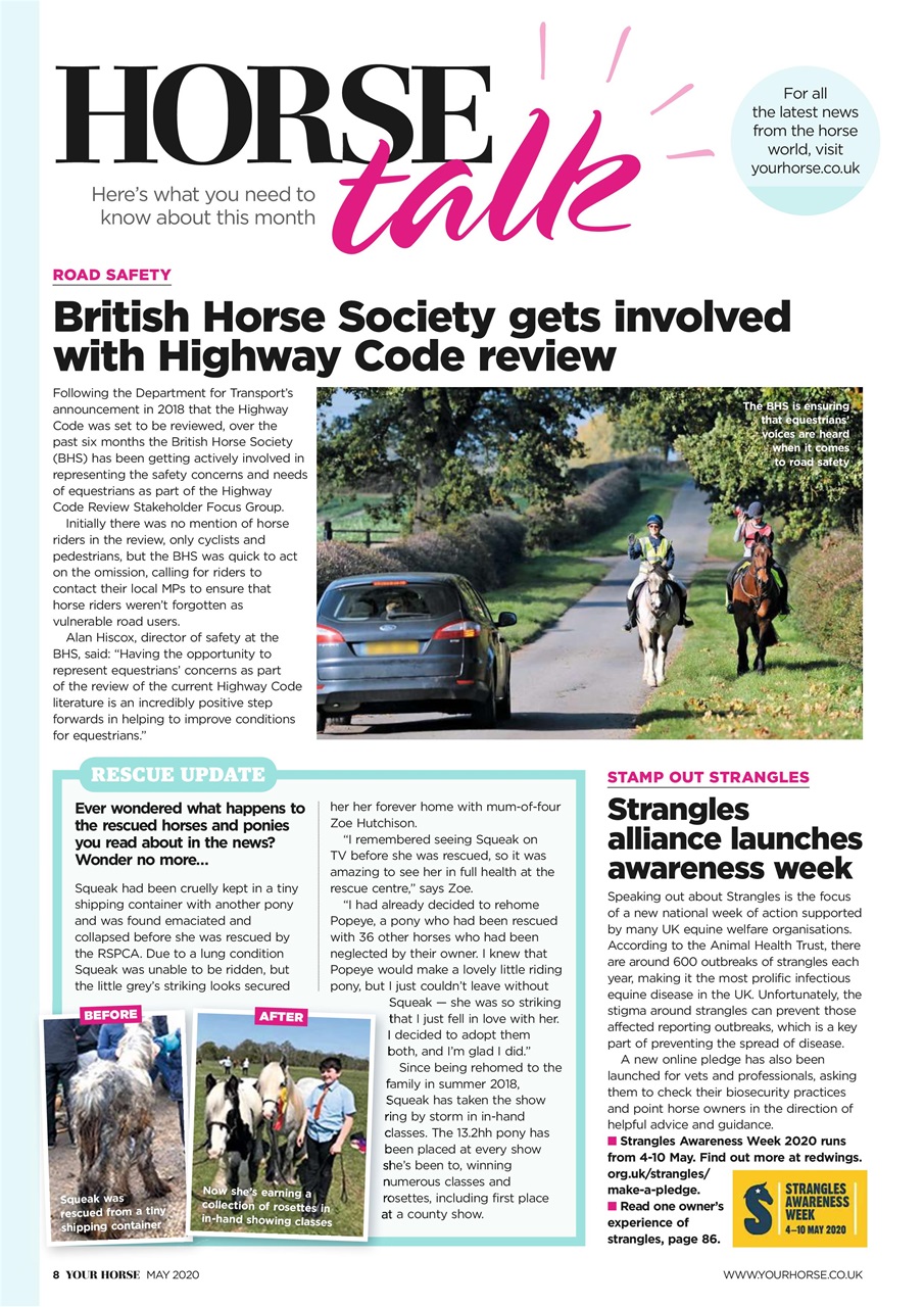 Your Horse Preview Pages