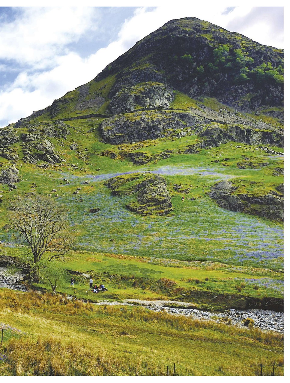 BBC Countryfile Magazine Preview Pages