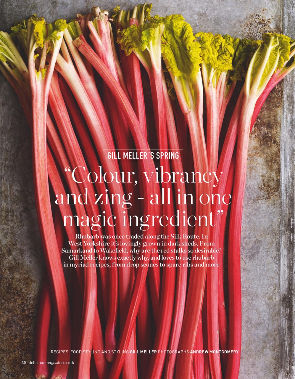 delicious. Magazine Preview Pages