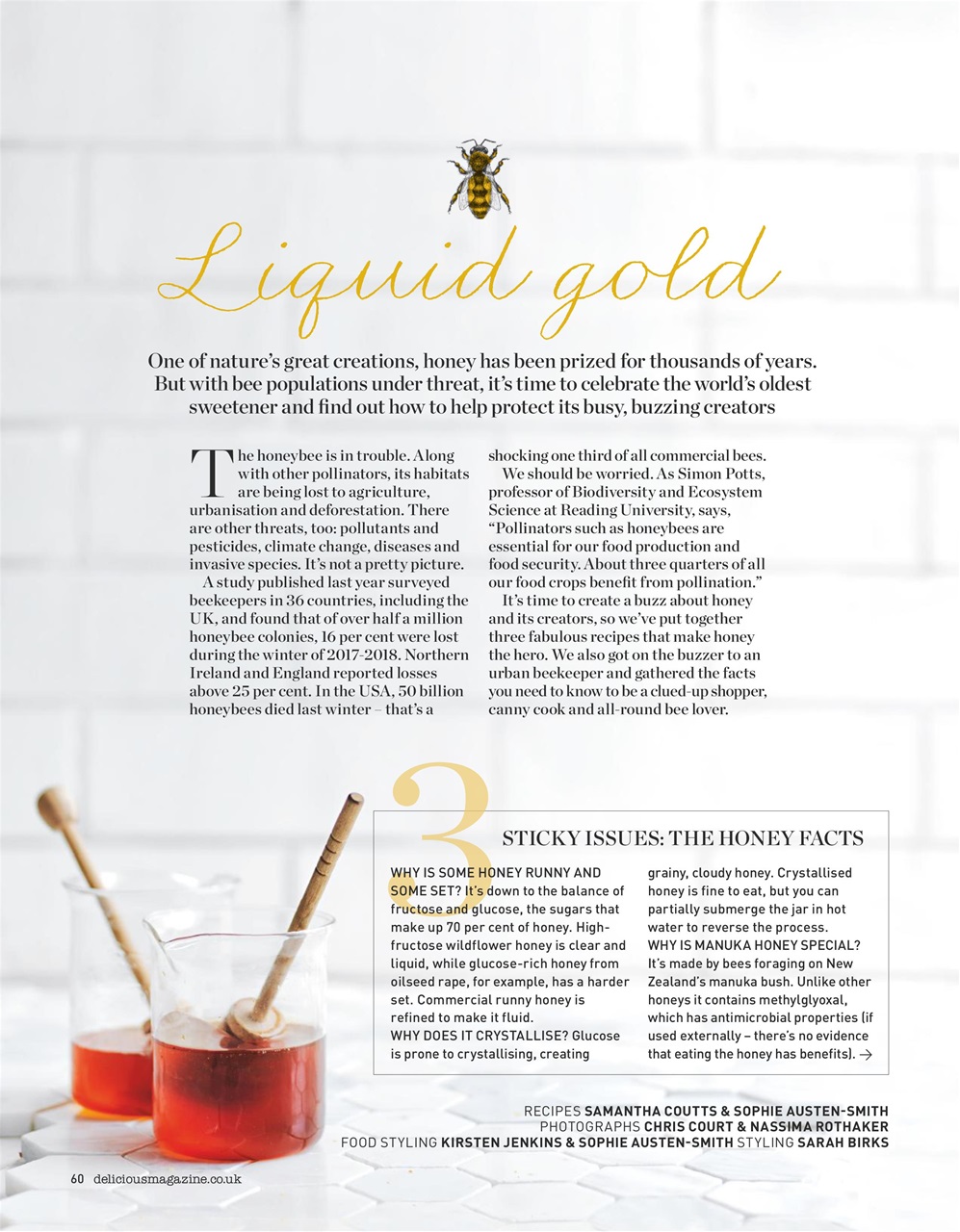 delicious. Magazine Preview Pages