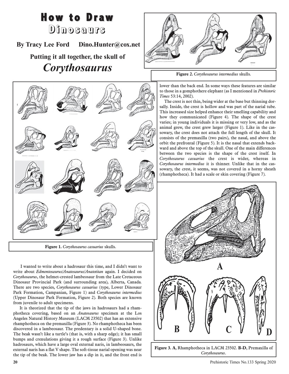 Prehistoric Times Preview Pages
