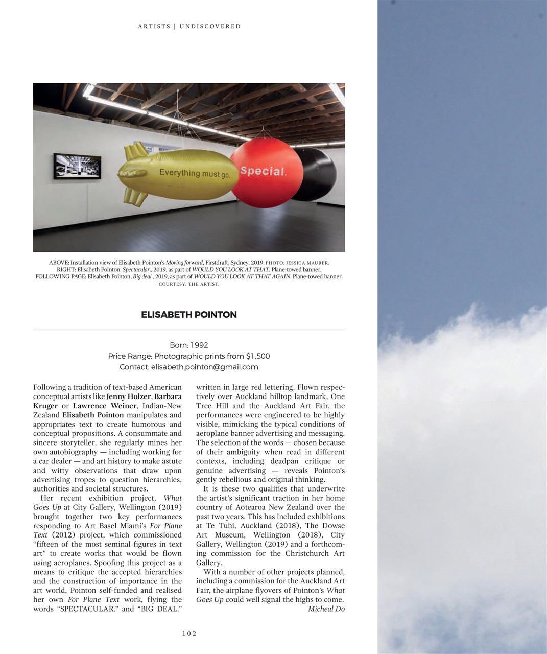 Art Collector Preview Pages