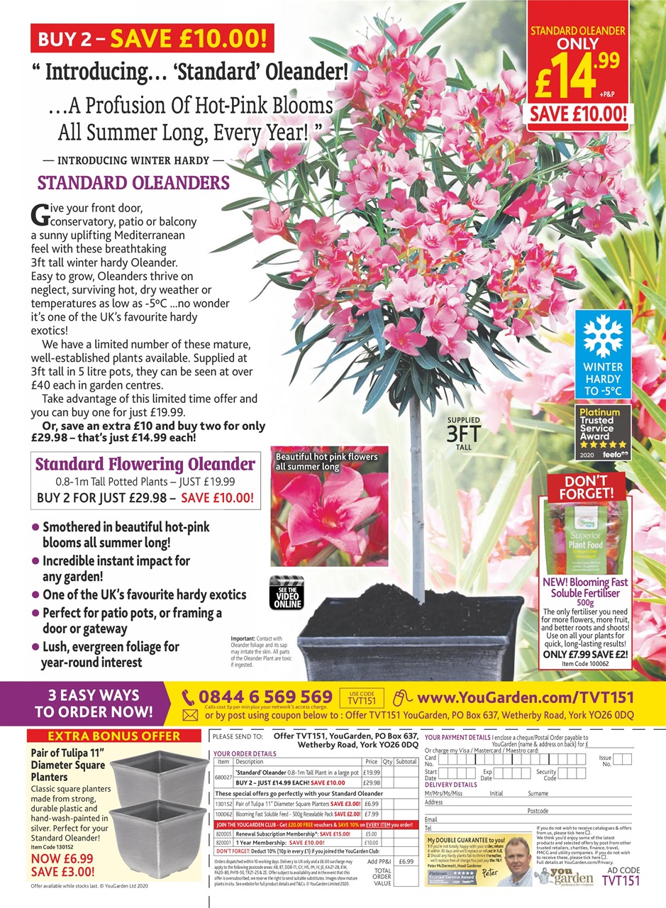 TV Times Preview Pages