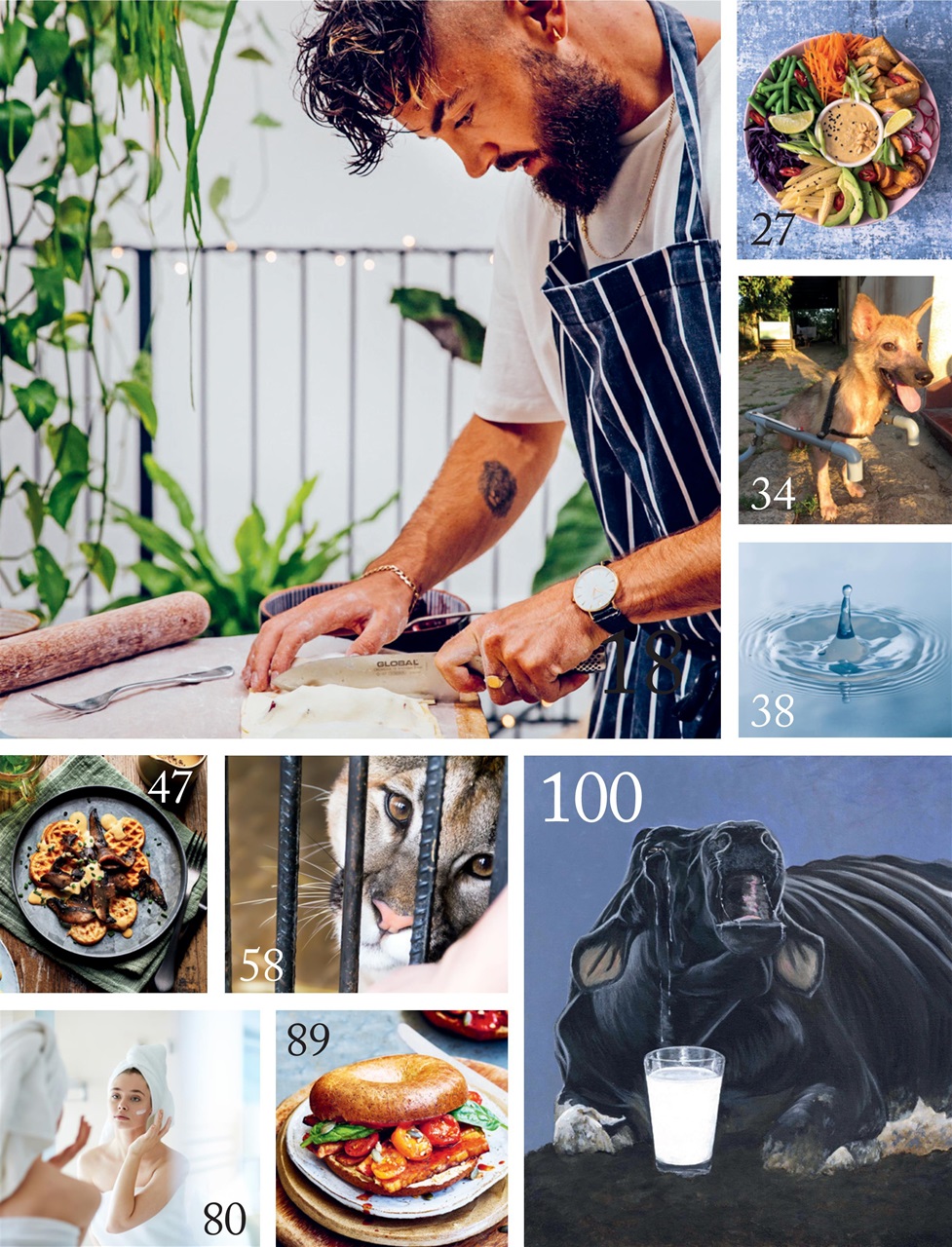 Vegan Life Preview Pages