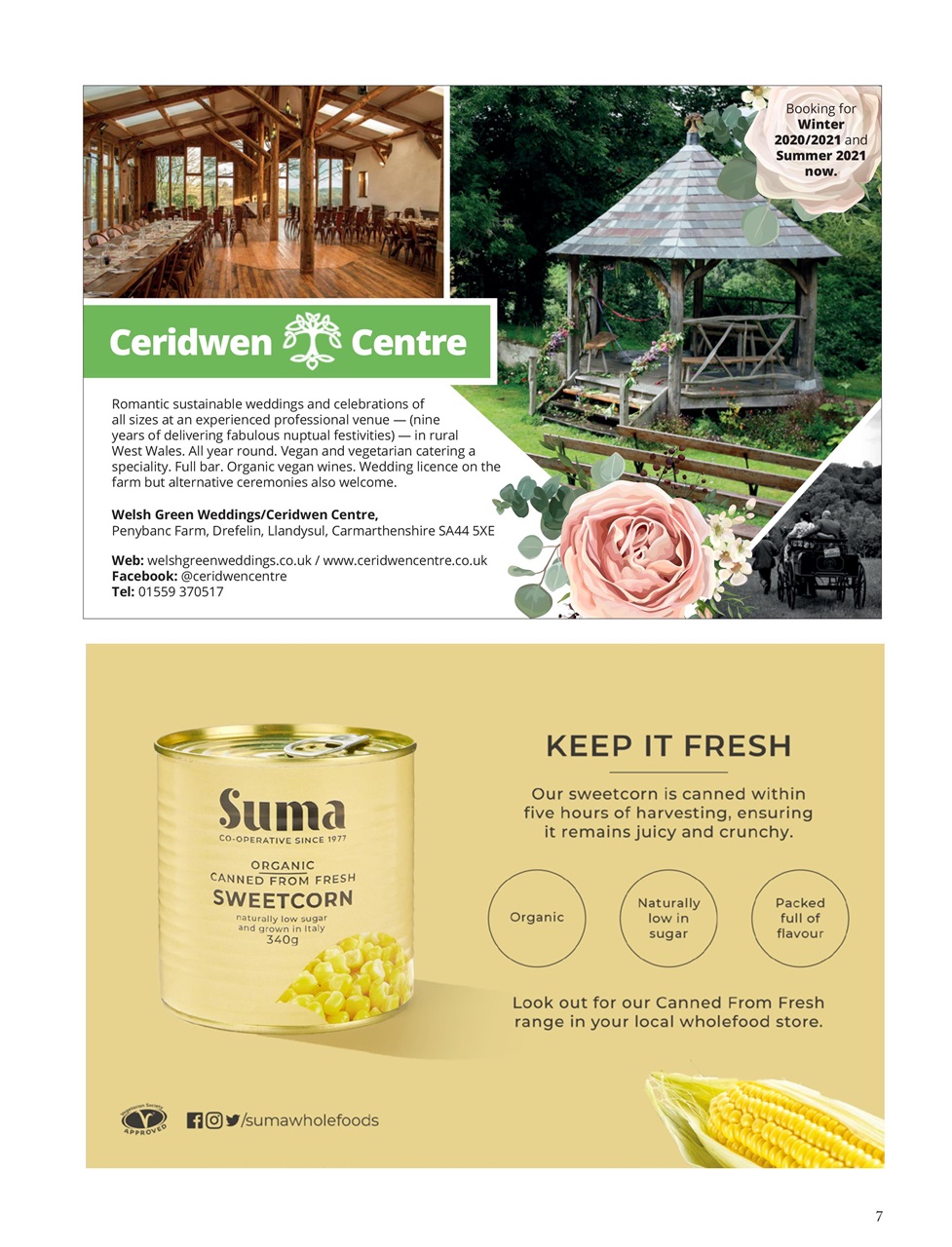 Vegan Life Preview Pages