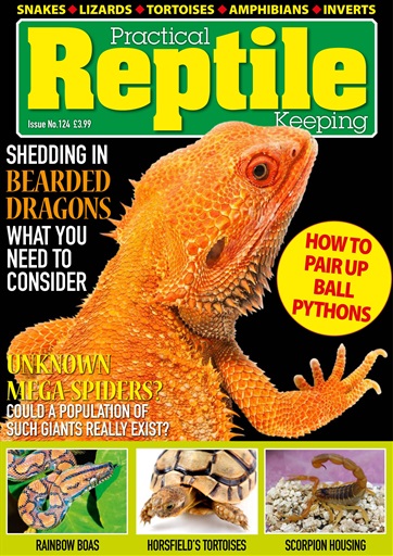 Practical Reptile Keeping issue 