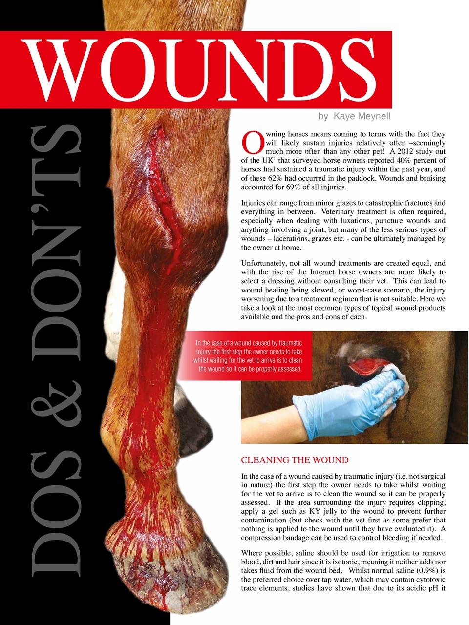Hoofbeats Preview Pages