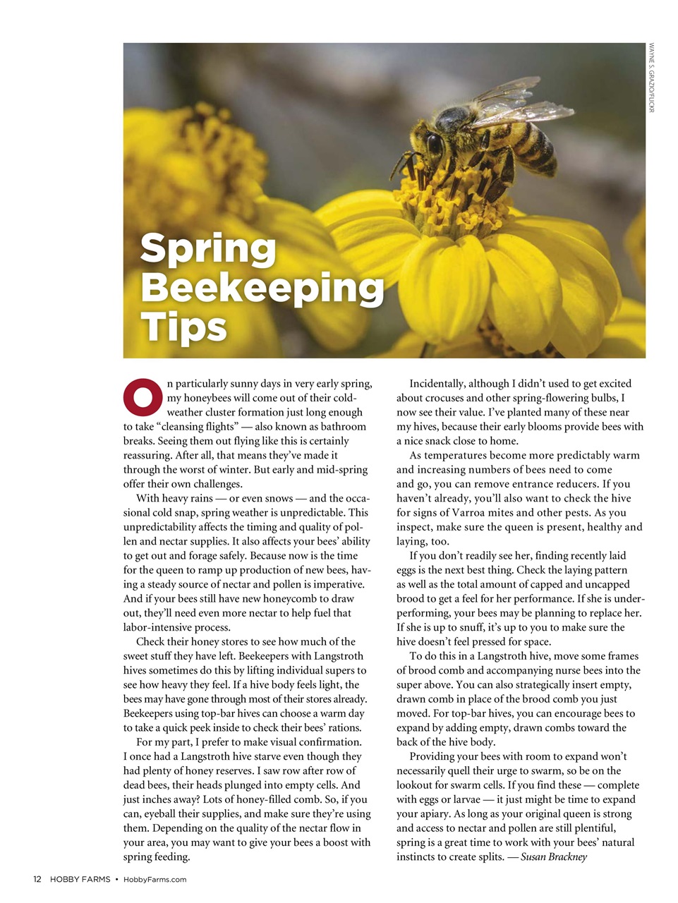 Hobby Farms Magazine Preview Pages