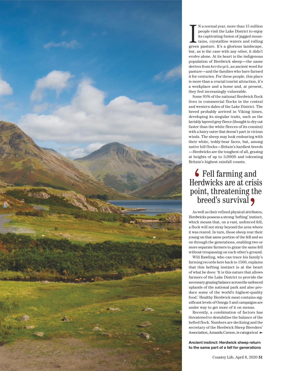 Country Life Preview Pages