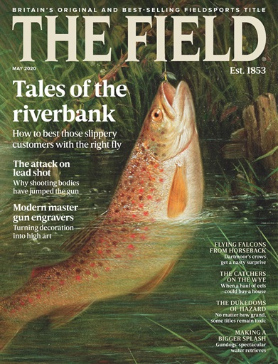 The Field issue 